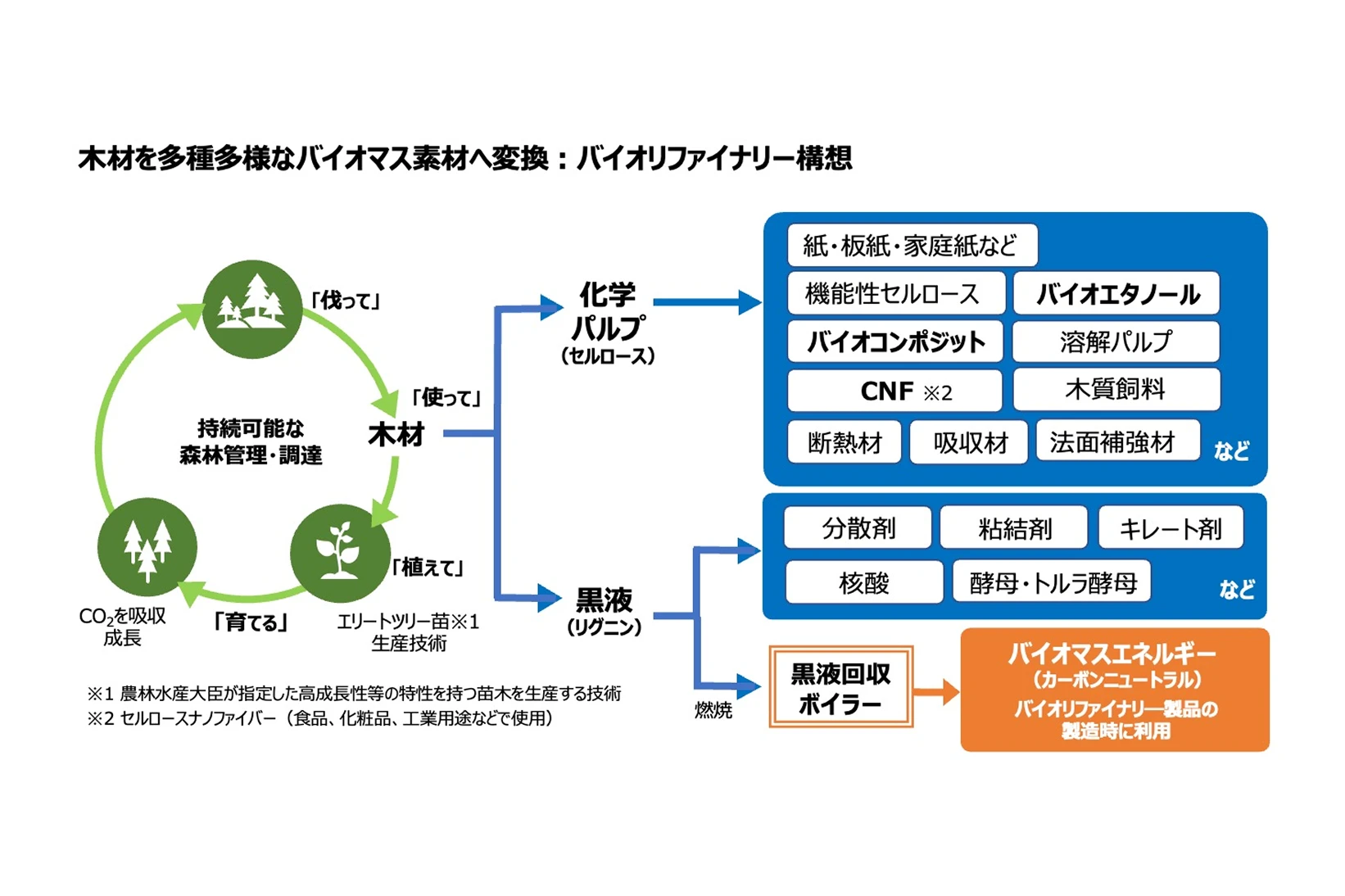 バイオリファイナリー構想と国際競争力